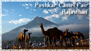 Book tour of Pushkar Camel Fair Rajasthan India 2011